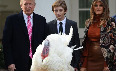 دونالد ترامب يصفح عن ديك رومي بمناسبة عيد الشكر