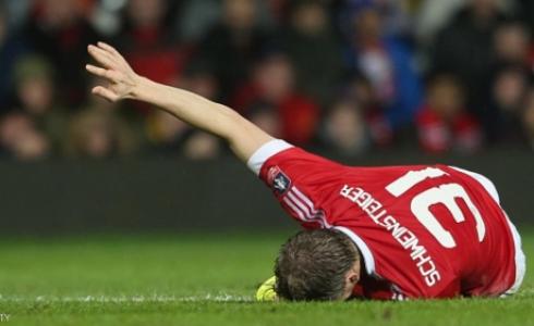 شفاينشتايغر على الأرض