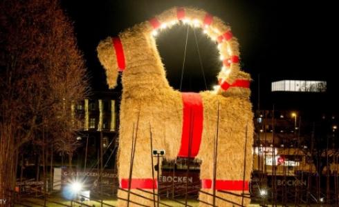 تعد عنزة عيد الميلاد العملاقة رمزا وتقليدا اسكندنافيا