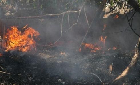 حريق في غلاف غزة بفعل بالونات حارقة - أرشيفية