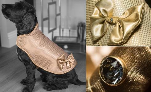 كلب يرتدي أغلى 'جاكيت' في العالم