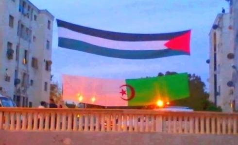 الجزائر وفلسطين