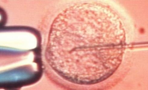 قال المركز إن الخطأ يعود إلى أسباب إجرائية