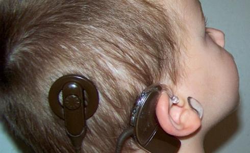 قواقع الكترونية - ارشيف