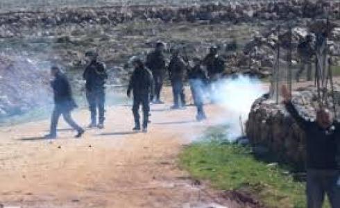 اعتداءات الاحتلال الاسرائيلي في الأراضي الزراعية-ارشيف