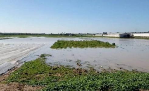 الاحتلال يغرق الأراضي الزراعية شرق غزة