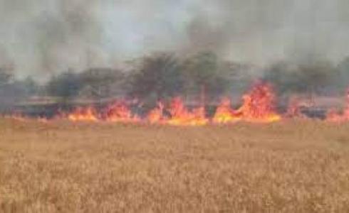 الأغوار الشمالية: النيران تأتي على مساحات رعوية واسعة غرب بردلة