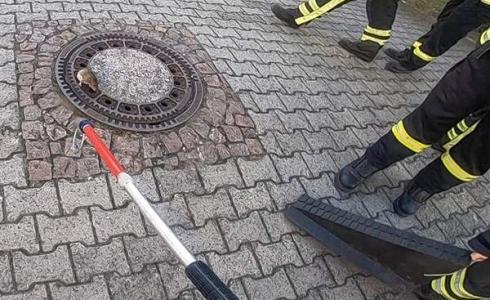 بالوعة في أحد الشوارع