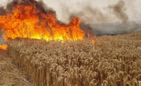 استمرار اندلاع الحرائق في غلاف غزة بفعل البالونات الحارقة