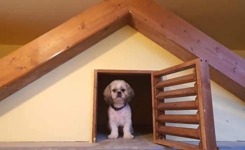 فندق لاستضافة الحيوانات الأليفة برام الله