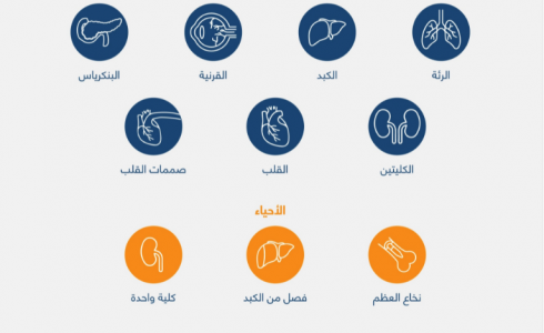 صورة تعبيرية توضح الأعضاء التي يمكن التبرع بها من الأنسان وفق وزارة الصحة السعودية