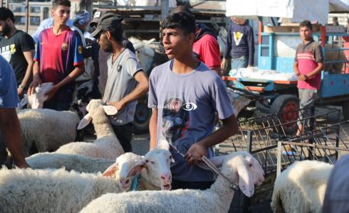 صورة لأحد الصبية الفلسطينيون في سوق الحلال في دير البلح