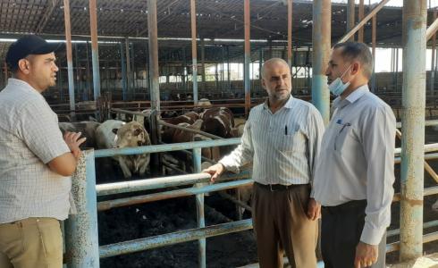 الزراعة تطلع على سير العمل في المذابح المؤقتة جنوب قطاع غزة