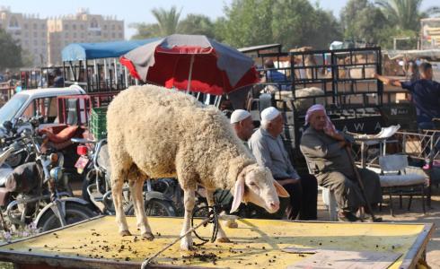 عدد من المواطنين يجلسون في سوق الحلال في مدينة دير البلح