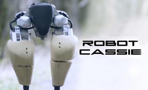 ROBOT cassie