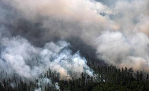 دخان حرائق الغابات