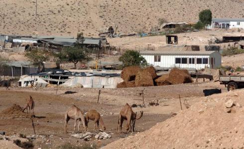 بدو النقب-أرشيف