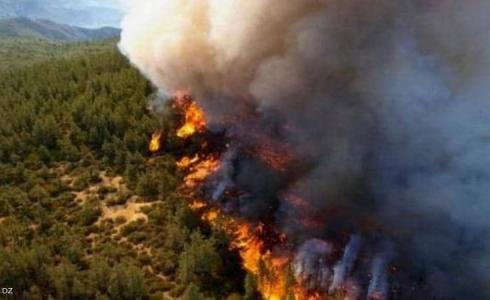 حرائق الجزائر