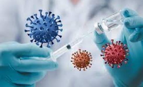 فيروس كورونا