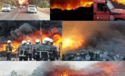حرائق الجزائر