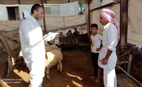 الزراعة بغزة تطلق حملة التحصين ضد مرض الحمى المالطية