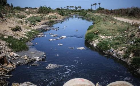 وادي غزة - أرشيف