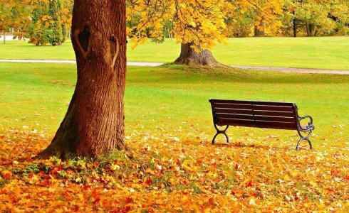 فصل الخريف 2021