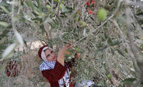انطلاق حملة فزعة في فلسطين
