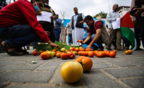 مزارعون من غزة يتلفون كميات من محاصيلهم اليوم