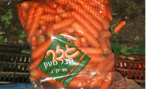 محصول الجزر الاسرائيلي