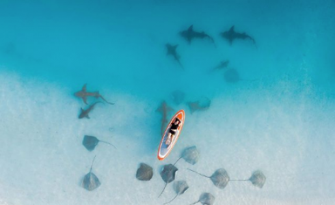 الفتاة وهي مستلقية على لوح التزلج الخاص بها في احدي سواحل جزر المالديف