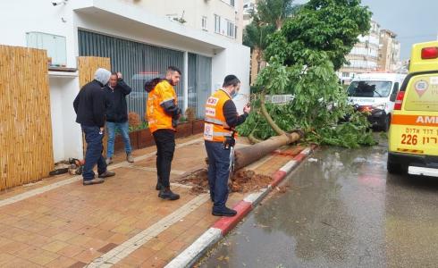 عاصفة "كرمل" تقتلع الأشجار وتتسبب بإصابة حرجة في إسرائيل