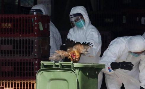 الصين تٌسجل إصابة بإنفلونزا الطيور لرجل ستيني