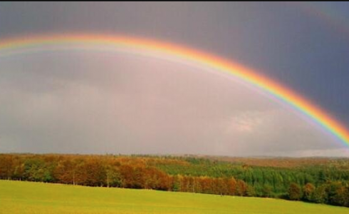 صورة تعبيرية