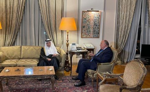 شكري يستقبل وزير خارجية قطر في القاهرة