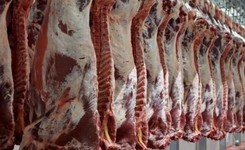 صورة لحوم -أرشيفية
