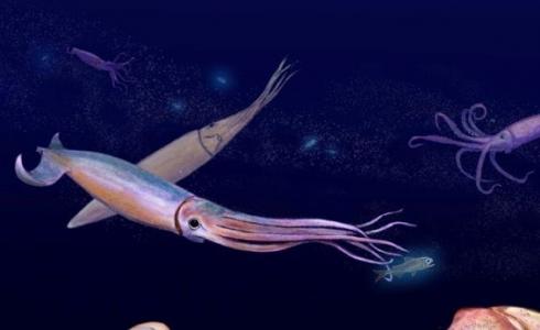 الحبار كائين بحري فريد