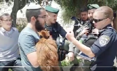 الاحتلال يعتقل مستوطنيْن كانا في طريقهما لذبح قربان بـ "الأقصى"