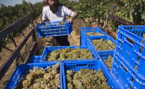 منتجات المستوطنات الإسرائيلية