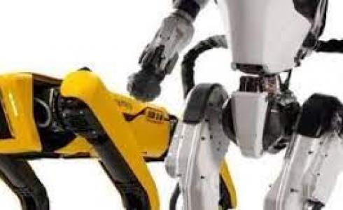 "أصغر روبوت" في العالم