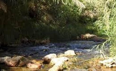 المحمية الطبيعية "عين العوجا"