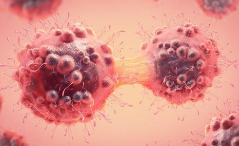 خلايا السرطانية