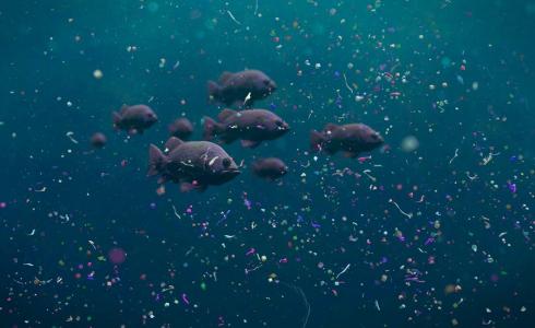 روبوتات تشبه الأسماك لتنظيف المحيطات.