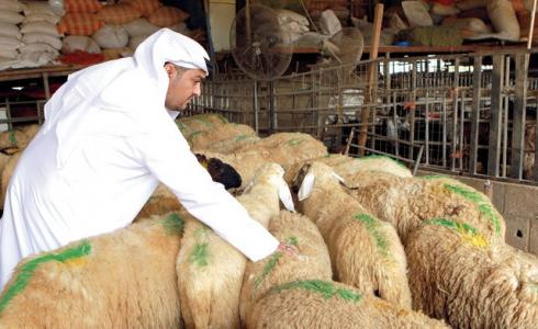 متى ينتهي وقت ذبح الاضحية - عيد الأضحى 2022