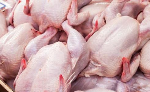 دجاج مجمد - توضيحية