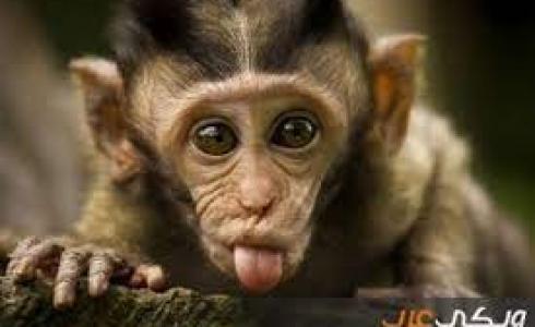 صورة تعبيرية