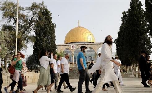 مستوطنون يقتحمون باحات المسجد الأقصى - أرشيفية