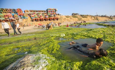 طقس فلسطين - بحر غزة