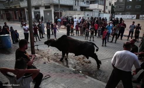 أجواء أول أيام العيد وذبح الأضاحي في قطاع غزة