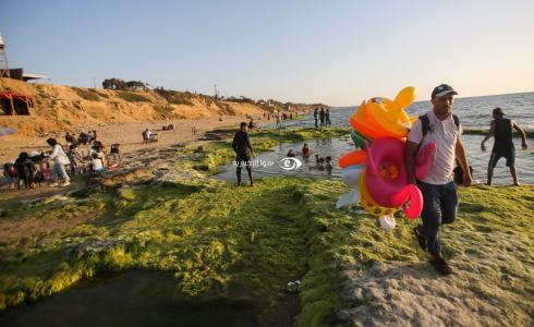 طقس فلسطين - بحر غزة